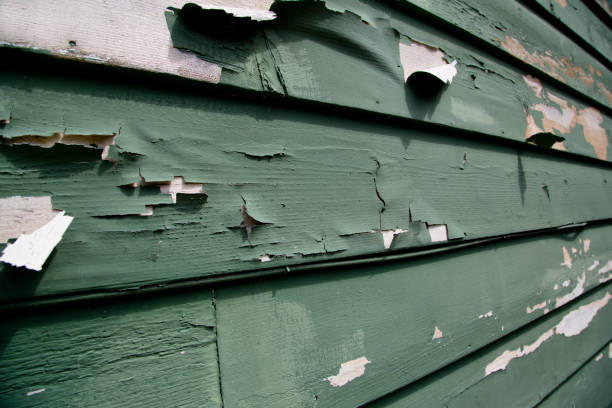 Best Brick Veneer Siding  in Desert Palms, CA