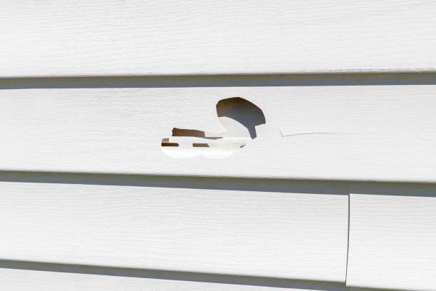 Best Fiber Cement Siding Installation  in Desert Palms, CA